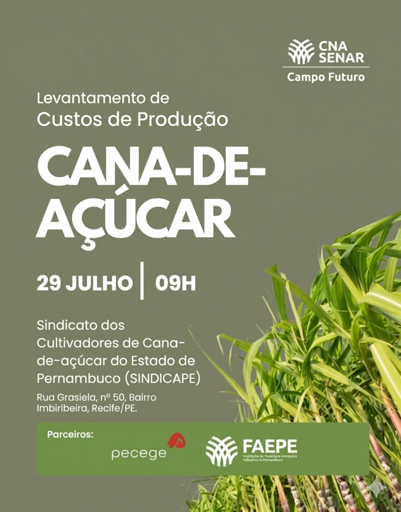 SINDICAPE-CANA-DE-ACUCAR